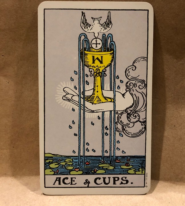 6B5CEFA5-8552-45C3-B4B3-2CA0C01E4646